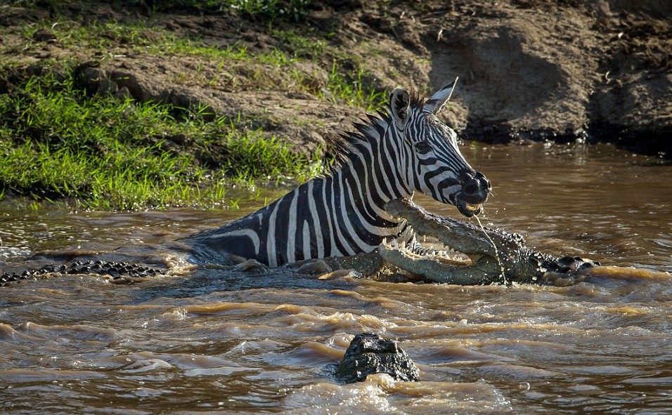 73dbf4c1572124de03b1ec5a1d7ed7eb