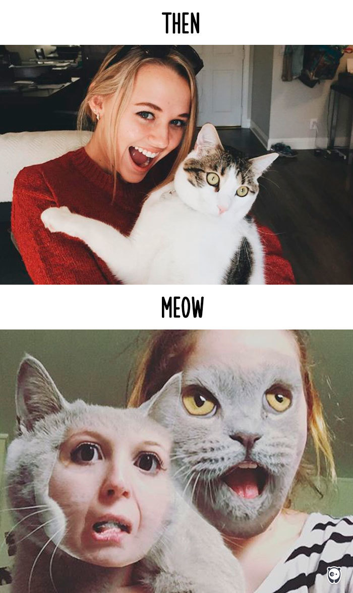 Cats-then-now-funny-technology-change-life-12-57161e85847ed__700