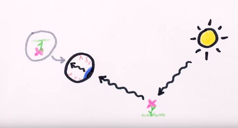 Screen Shot 2016-04-24 at 6.50.40 PM