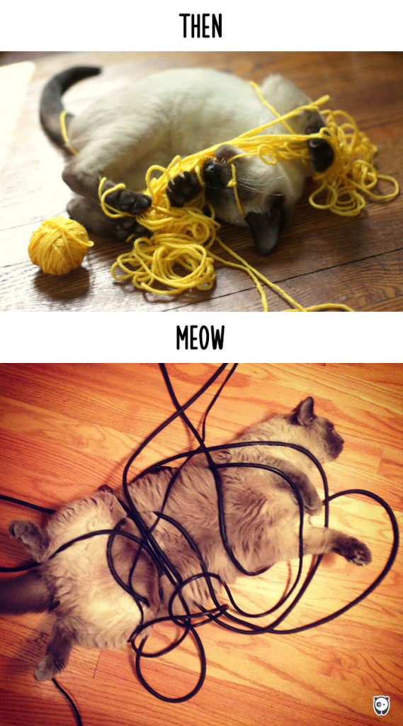 cats-then-now-funny-technology-change-life-7-571600912d6af__700