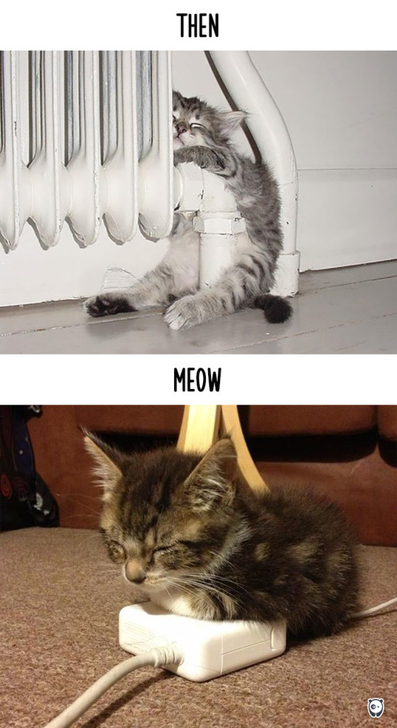 cats-then-now-funny-technology-change-life-9-57161749f2b9d__700