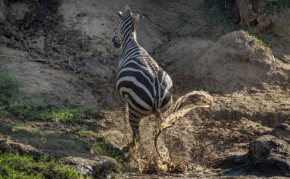 f23f2dd5572124de03b17783d5d614d3