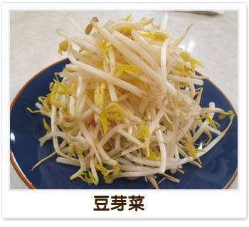 健康小叮嚀-豆芽菜