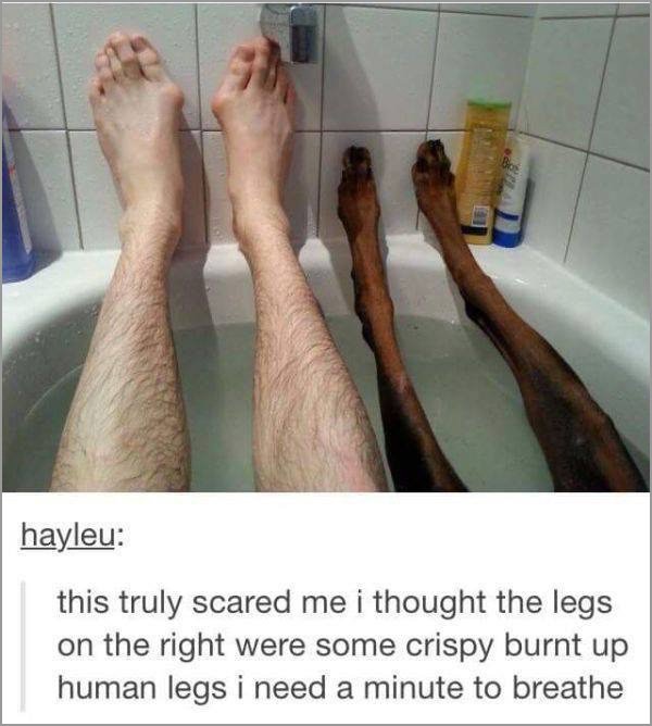 dogs-truly-are-mans-best-friend-33-photos-15