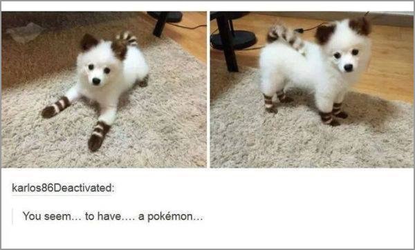 dogs-truly-are-mans-best-friend-33-photos-19