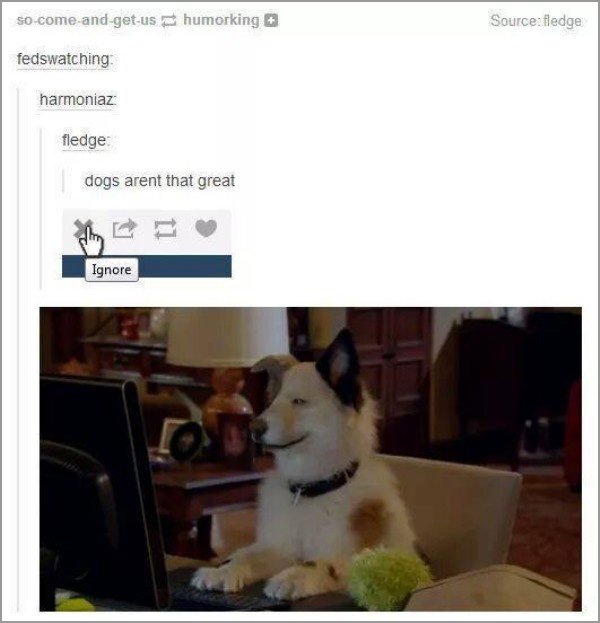 dogs-truly-are-mans-best-friend-33-photos-23