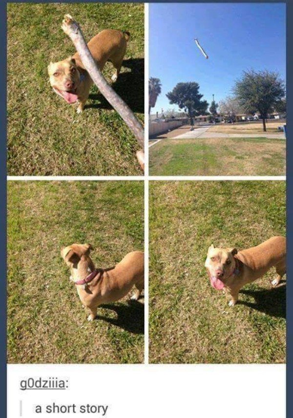 dogs-truly-are-mans-best-friend-33-photos-31