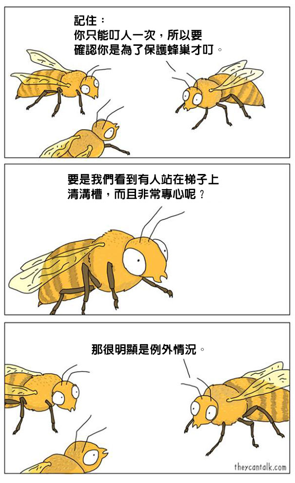 funny-animal-comics-they-can-talk-jimmy-craig-2-57469f703c3e2__605