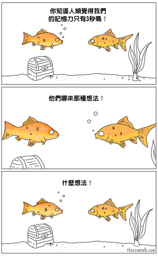 funny-animal-comics-they-can-talk-jimmy-craig-29-57469fb09e2af__605