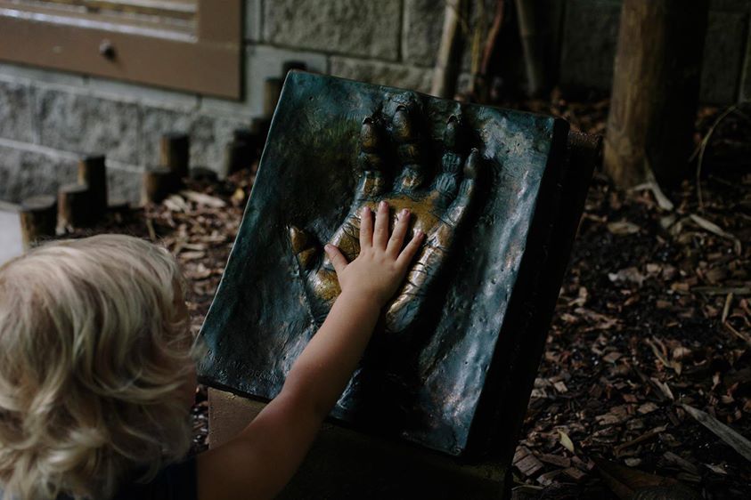 13308704_1203640553003664_4829701031112569301_o