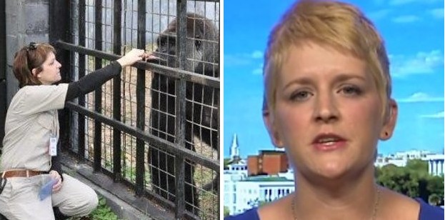 萤幕快照 2016-06-02 下午3.57.31