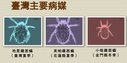 螢幕快照 2016-06-10 下午6.50.28