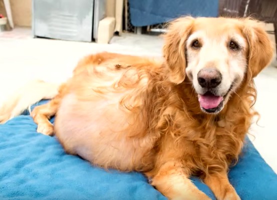 螢幕快照 2016-06-15 下午5.23.33