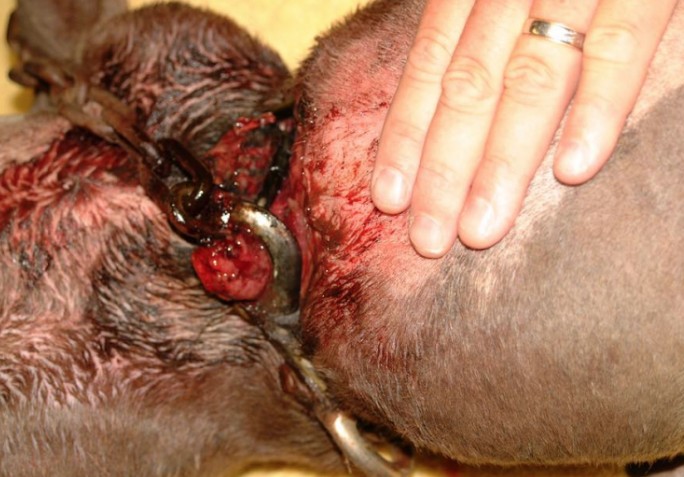 螢幕快照 2016-06-22 下午1.07.33