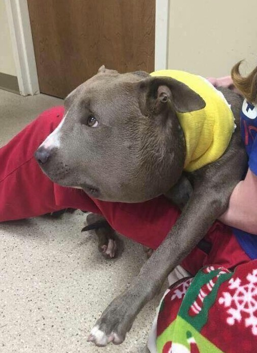 螢幕快照 2016-06-22 下午2.50.18