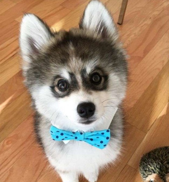 螢幕快照 2016-06-29 上午10.51.15