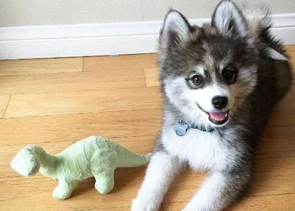 螢幕快照 2016-06-29 上午10.51.21