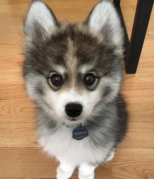 螢幕快照 2016-06-29 上午10.51.33