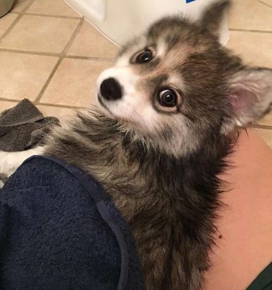 螢幕快照 2016-06-29 上午10.51.40