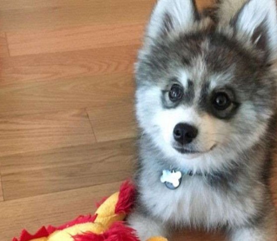 螢幕快照 2016-06-29 上午10.51.46