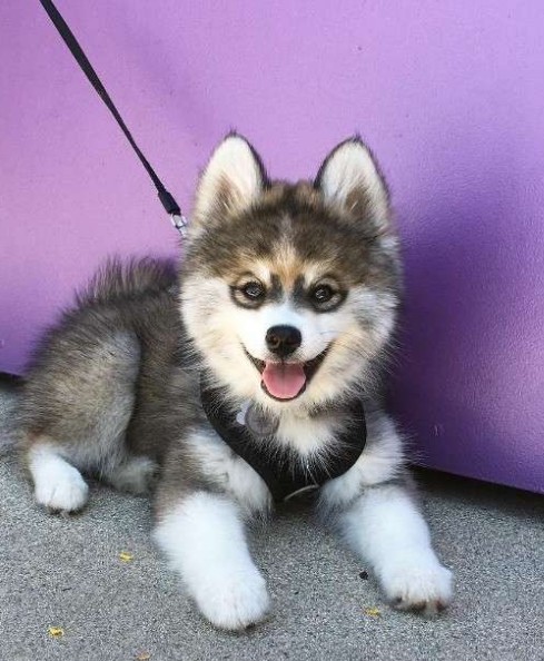 螢幕快照 2016-06-29 上午10.51.52