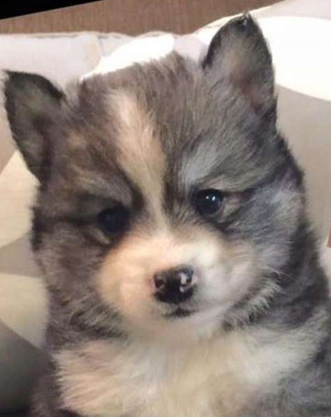 螢幕快照 2016-06-29 上午10.51.57