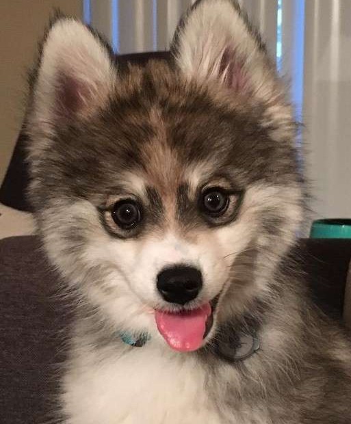 螢幕快照 2016-06-29 上午10.52.10