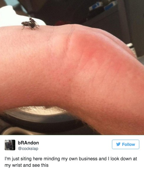 螢幕快照 2016-06-29 下午3.57.09