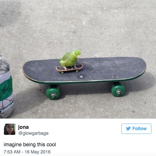 螢幕快照 2016-06-29 下午4.00.03