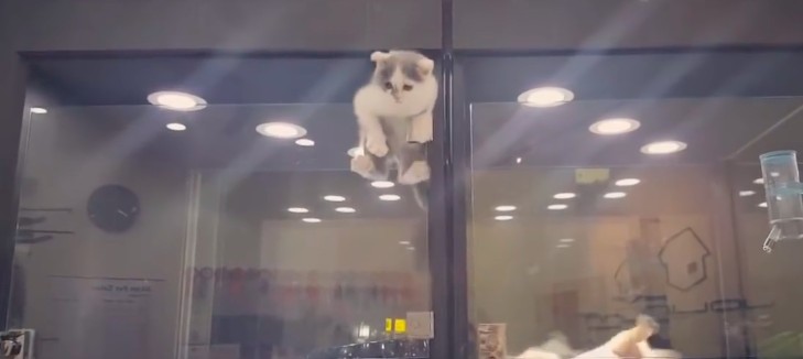 螢幕快照 2016-06-30 上午10.32.15