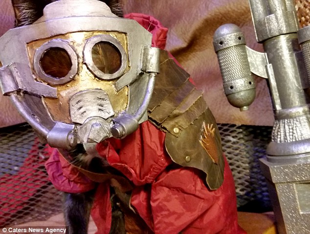 358A653900000578-3654010-Star_Lord_Fawkes_dressed_as_the_main_character_from_the_Guardian-a-43_1466588160649