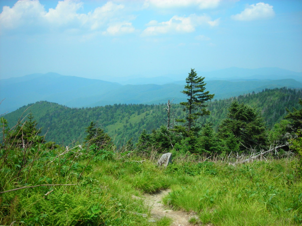 Appalachian_Trail_Heading_to_Double_Springs_Gap_From_Clingmans_Dome