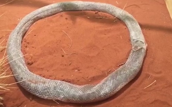 Screen Shot 2016-06-23 at 6.41.17 PM