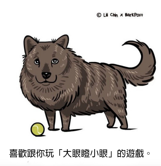 螢幕快照 2016-06-03 下午3.46.25