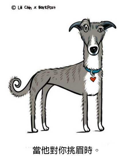 螢幕快照 2016-06-03 下午3.46.33