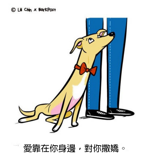 螢幕快照 2016-06-03 下午3.46.40