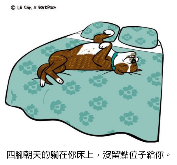 螢幕快照 2016-06-03 下午3.46.46