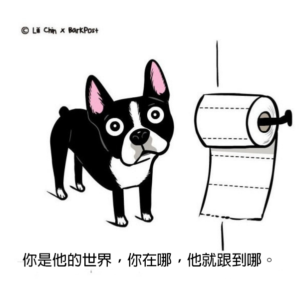 螢幕快照 2016-06-03 下午3.46.53