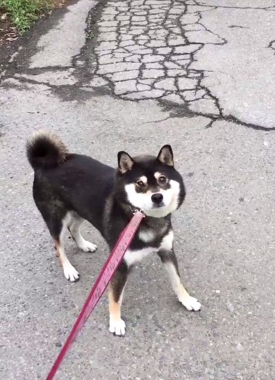 螢幕快照 2016-07-06 上午10.12.39