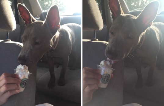 螢幕快照 2016-07-08 上午11.16.02