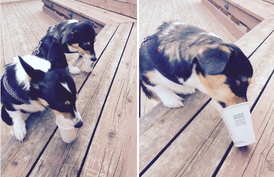 螢幕快照 2016-07-08 上午11.16.09