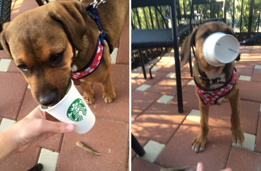 螢幕快照 2016-07-08 上午11.16.16