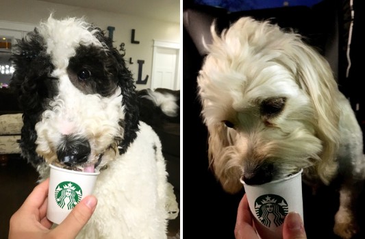 螢幕快照 2016-07-08 上午11.16.23