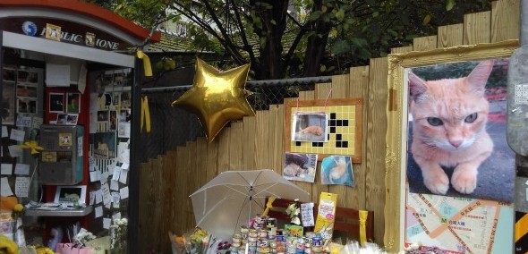 螢幕快照 2016-07-08 下午12.12.26