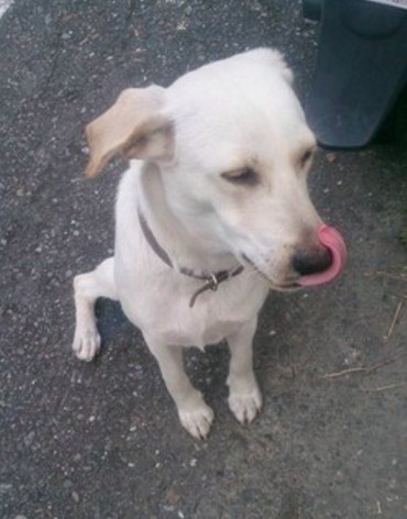 螢幕快照 2016-07-08 下午12.19.13