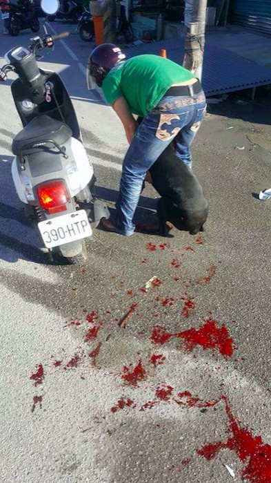 萤幕快照 2016-07-18 上午11.45.54