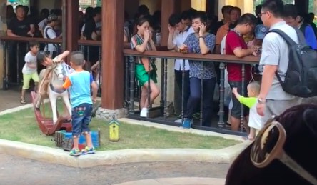 螢幕快照 2016-07-19 下午6.01.16