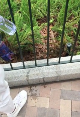 螢幕快照 2016-07-19 下午6.03.45