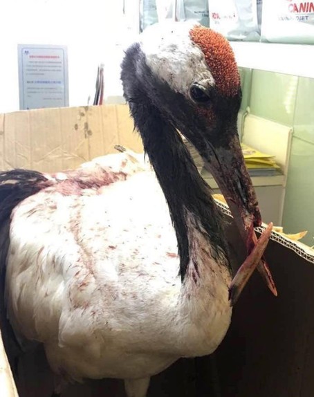 螢幕快照 2016-07-21 上午11.19.23