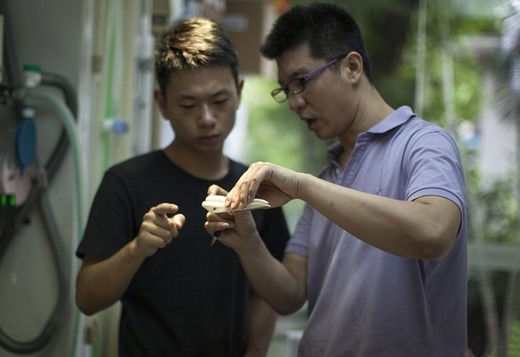 螢幕快照 2016-07-21 上午11.19.51